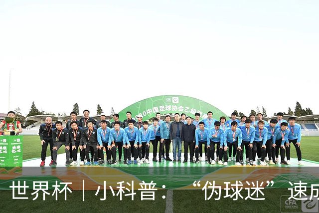 世界杯｜小科普：“伪球迷”速成手册
